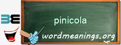 WordMeaning blackboard for pinicola